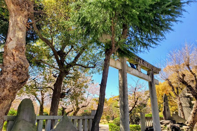 a pic of torii gate